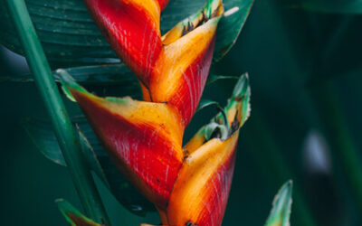 How to short circut your anxiety